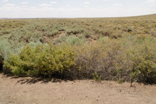 The Petrified Forest National Park has Route 66 running right through it, since this was nearly the only highway to get to it. You're looking westward at 66 leaving you, believe it or not. I suspect they tore it out, then put up a commemorative site when interest in the highway ramped up as a nostalgia thing.