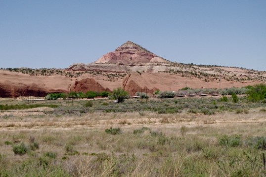 Oh, just one more. Come on.