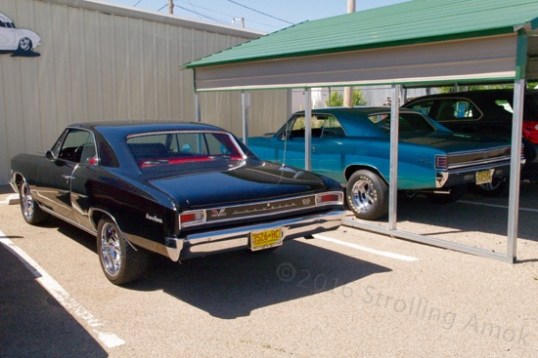 Museum owner's commute.