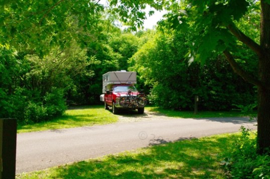 Nice little pocket! The rig's nose is headed east, so the clearance offered by the road keeps the trees off it for a little longer each day.