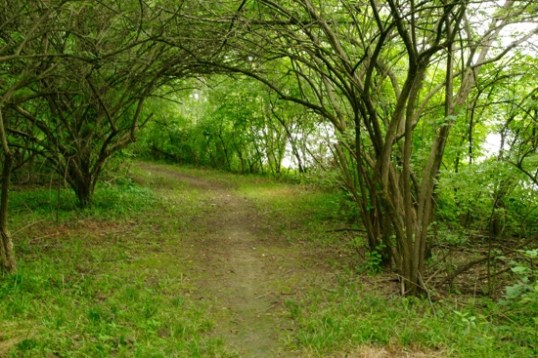 A little farther along.