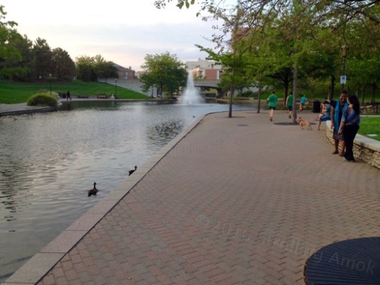 Near one end is a fountain in the center.