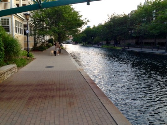 Looking the other way.