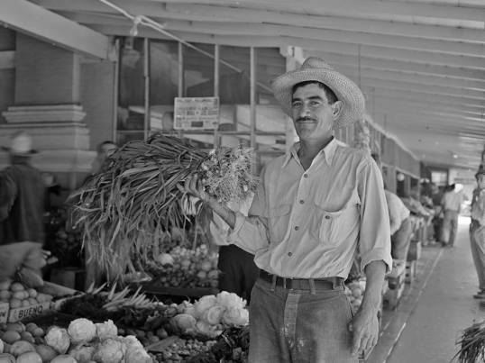 A Brownsville, Texas produce farmer in 1943. Photo by Arthur Rothstein.