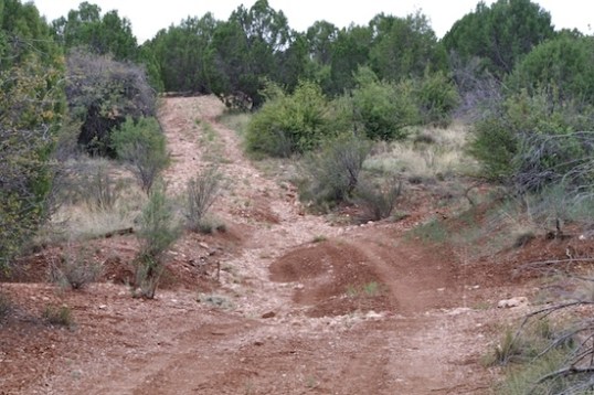 Seeing this photo answered my question, "Why don't I ever see even a single camper up here?" This is why. This is an MVUM camping road. Camp-suitable areas are far and few between. Access in by 2WD is questionable. I may frequently whine about the Ford's size but this particular "road" section explains why I'm unlikely to ever see a 1-ton dually under a big ol' hardside truck camper up here.